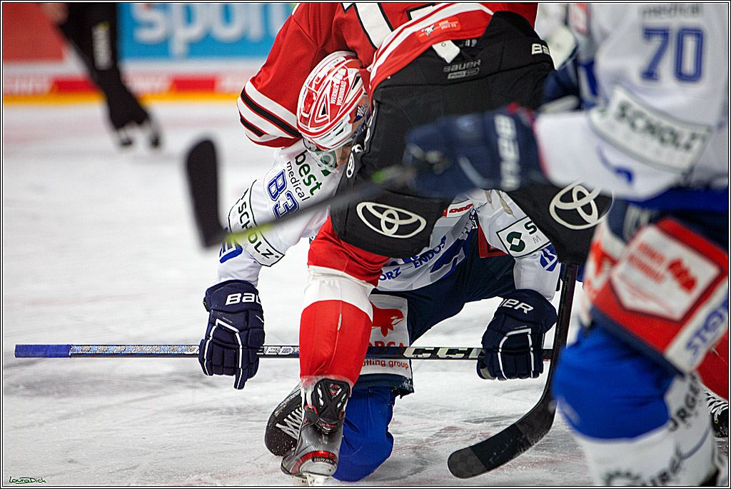 PENNY DEL; Koelner Haie- Schwenninger Wild Wings; Koeln, 06.12.2022